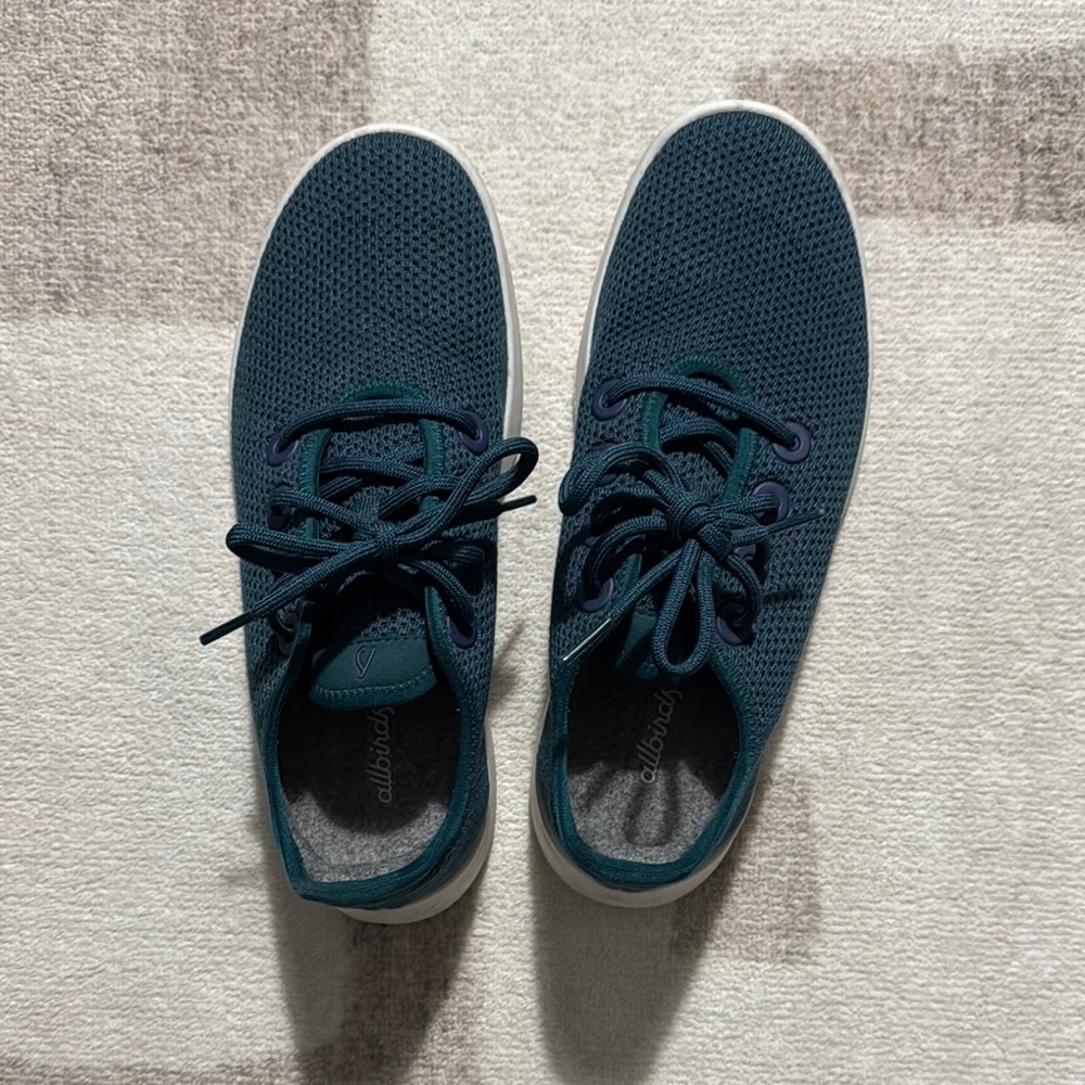 Allbirds Teal Lace-Up Sneakers